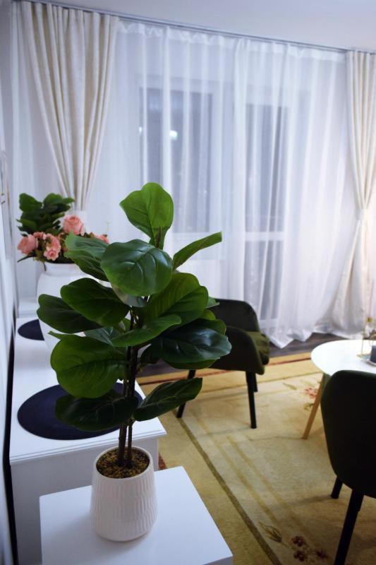 Apartament Thea Apartman Făgăraş Kültér fotó