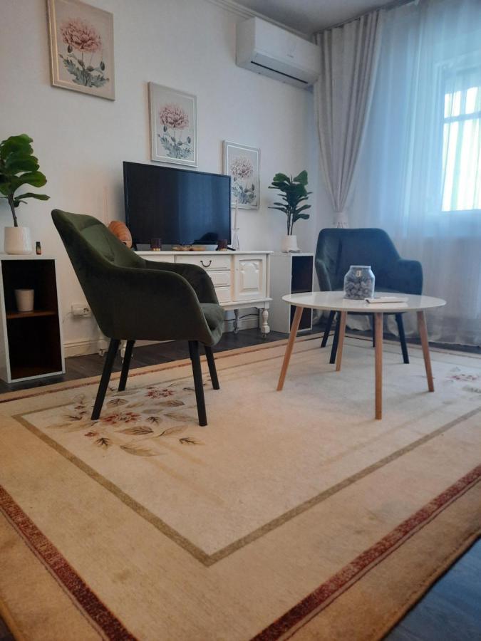 Apartament Thea Apartman Făgăraş Kültér fotó